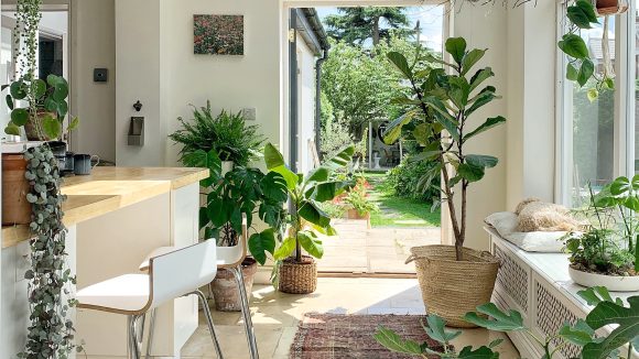 Plants for home: మీ ఇంటికి లక్ష్మీదేవి రావాలా? అయితే మెయిన్ డోర్ దగ్గర ఈ మొక్కలు ఉండాల్సిందే!