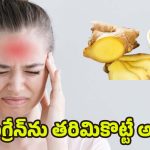 Ginger For Migraine: మైగ్రేన్‌తో ఇబ్బంది పడుతున్నారా ? అల్లం ఇలా వాడితే క్షణాల్లోనే ప్రాబ్లమ్ సాల్వ్