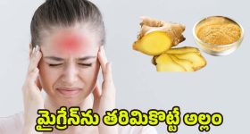 Today Horoscope in Telugu: ఆ రాశి వారికి నూతన వాహన యోగం - వారు ప్రయాణాల్లో జాగ్రత్తగా ఉండాలి