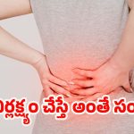 Back Pain: నడుము నొప్పికి అసలు కారణం ఇదేనా? ప్రమాదకరమైన వ్యాధులను గుర్తించే వన్ మినిట్ గైడ్