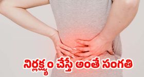 Sanju Samson: సంజు శాంస‌న్ కు కోట్ల‌ల్లో ఆస్తులు, బంగ్లాలు, ఖ‌రీదైన కార్లు..కానీ ఒక్క‌ మ్యాచ్ ఆడ‌టం చేత‌కావ‌డం లేదు