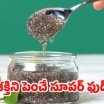 Chia Seeds: చూడటానికి చిన్న గింజలే కానీ.. ఆరోగ్య ప్రయోజనాలు మాత్రం కొండంత !