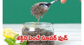 Chia Seeds: చూడటానికి చిన్న గింజలే కానీ.. ఆరోగ్య ప్రయోజనాలు మాత్రం కొండంత !