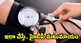 Hyderabad: తెలంగాణలో ఓటర్ల జాబితా సవరణ.. హైదరాబాద్‌లో భారీగా ఓటర్ల తొలగింపు