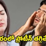 Protein Deficiency: మీ శరీరంలో ఈ లక్షణాలున్నాయా ? ప్రోటీన్ లోపం కావొచ్చు జాగ్రత్త