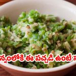 Pachi Mirapakaya Pachadi: అన్నం, రోటీల్లోకి పర్ఫెక్ట్ కాంబినేషన్.. ఈ ఇన్స్టంట్ మిర్చి పచ్చడి ట్రై చేయండి