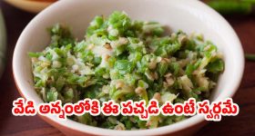 Pachi Mirapakaya Pachadi: అన్నం, రోటీల్లోకి పర్ఫెక్ట్ కాంబినేషన్.. ఈ ఇన్స్టంట్ మిర్చి పచ్చడి ట్రై చేయండి