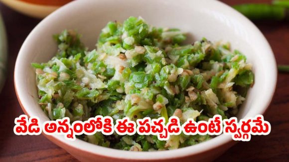 Pachi Mirapakaya Pachadi: అన్నం, రోటీల్లోకి పర్ఫెక్ట్ కాంబినేషన్.. ఈ ఇన్స్టంట్ మిర్చి పచ్చడి ట్రై చేయండి