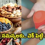 Nuts For Liver Health: లివర్ హెల్త్ కోసం నట్స్.. ఎంత మోతాదులో తీసుకోవాలి ?