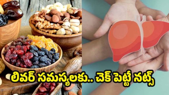 Nuts For Liver Health: లివర్ హెల్త్ కోసం నట్స్.. ఎంత మోతాదులో తీసుకోవాలి ?