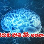 Brain Health: మెదడుకు హాని చేసే అలవాట్లు ఇవే.. జాగ్రత్త పడకపోతే ప్రాణాలకే ప్రమాదం