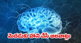 Brain Health: మెదడుకు హాని చేసే అలవాట్లు ఇవే.. జాగ్రత్త పడకపోతే ప్రాణాలకే ప్రమాదం