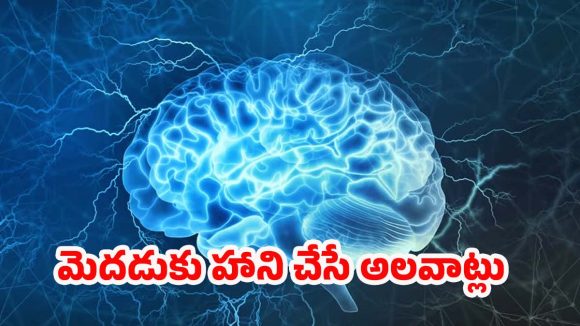 Brain Health: మెదడుకు హాని చేసే అలవాట్లు ఇవే.. జాగ్రత్త పడకపోతే ప్రాణాలకే ప్రమాదం