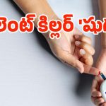 Diabetes: అధిక చక్కెరతో ఈ 5 అవయవాలు రిస్క్‌లో ఉన్నట్టే! మధుమేహాన్ని నియంత్రించే సులువైన మార్గాలు