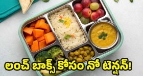Kids lunch box ideas: లంచ్ బాక్స్ ఖాళీ అవ్వాల్సిందే.. పిల్లల కోసం 5 స్పెషల్ రెసిపీలు