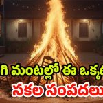 Bhogi Festival 2026: భోగి మంటల్లో ఈ ఒక్కటి వేస్తే.. ఏడాదంతా ఆరోగ్యం, ఐశ్వర్యం మీ సొంతం