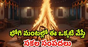 Bhogi Festival 2026: భోగి మంటల్లో ఈ ఒక్కటి వేస్తే.. ఏడాదంతా ఆరోగ్యం, ఐశ్వర్యం మీ సొంతం