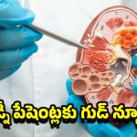 Kidney Breakthrough: ఇక డయాలసిస్ అవసరం ఉండదా ? కిడ్నీలను పునరుజ్జీవింపజేసే కొత్త ట్రీట్మెంట్