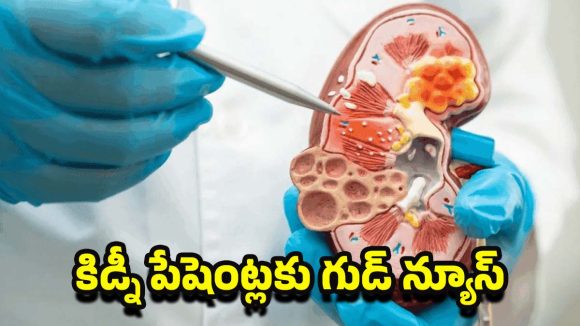 Kidney Breakthrough: ఇక డయాలసిస్ అవసరం ఉండదా ? కిడ్నీలను పునరుజ్జీవింపజేసే కొత్త ట్రీట్మెంట్