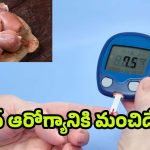 Chicken-Diabetics: డయాబెటిస్‌ బాధితులు చికెన్ తినొచ్చా? ఎంత మోతాదు మంచిది ?