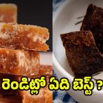 Types Of Jaggery: బెల్లంలో ఎన్ని రకాలుంటాయ్ ? చలికాలంలో ఏది బెస్ట్ ?