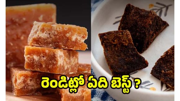 Types Of Jaggery: బెల్లంలో ఎన్ని రకాలుంటాయ్ ? చలికాలంలో ఏది బెస్ట్ ?