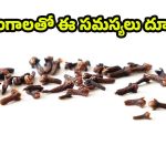Clove Benefits: చలికాలంలో లవంగాలు తింటే.. వ్యాధులు రమ్మన్నా రావు తెలుసా ?