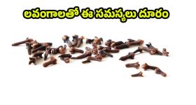Clove Benefits: చలికాలంలో లవంగాలు తింటే.. వ్యాధులు రమ్మన్నా రావు తెలుసా ?