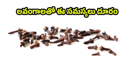 Clove Benefits: చలికాలంలో లవంగాలు తింటే.. వ్యాధులు రమ్మన్నా రావు తెలుసా ?