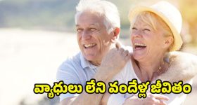 Health Tips: సెంచరీ కొట్టాలా? నిండు నూరేళ్లు జీవించడానికి అనుసరించాల్సిన గోల్డెన్ రూల్స్.