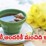 Green Tea: మీరు ఈ లిస్ట్‌లో ఉన్నారా? అయితే గ్రీన్ టీ తాగడం వెంటనే ఆపేయండి!