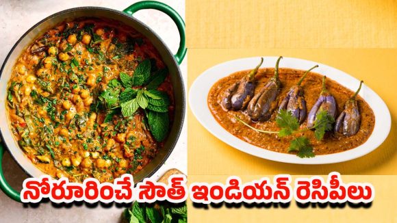 Dinner Recipes Veg: రోటీ, చపాతీల్లోకి పర్ఫెక్ట్ కాంబినేషన్.. ఈ సౌత్ ఇండియన్ రెసిపీలను ఒక్కసారైనా టేస్ట్ చేయాల్సిందే !