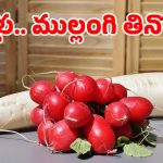 Radish: ముల్లంగి తిన్న వెంటనే ఇవి తింటే చర్మ వ్యాధులు తప్పవు.. జాగ్రత్త!