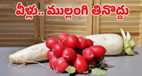 Telugu Movies OTT : ఈ వీకెండ్ ఏకంగా 8 సినిమాలు... ఓటీటీలలో తెలుగు సినిమాల జాతర