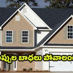 Vastu Tips: ఇంటి ఉత్తర దిశలో ఇలా చేస్తే.. ఆరోగ్యం,ఐశ్వర్యం మీ సొంతం