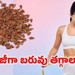 Flaxseeds For Weight Loss: ఫ్లాక్ సీడ్స్‌తో వెయిట్ లాస్.. ఇలా వాడితే అద్భుత ప్రయోజనాలు