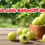 Amla: ఉసిరి ఎవరు తినకూడదో తెలుసా ?