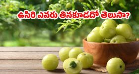 Amla: ఉసిరి ఎవరు తినకూడదో తెలుసా ?