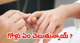 Renuka Chowdhury: ‘మొరిగే వాళ్లకు సమాధానం అక్కర్లేదు’.. జల వివాదంపై రేణుకా చౌదరి హాట్ కామెంట్స్..