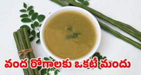 Vemulawada Bhimeswara Temple: గెస్ట్ హౌస్‌లో మేకపోతు బలి.. భీమేశ్వర ఆలయంలో అపచారం