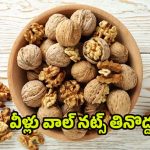 Walnuts: వీళ్లు పొరపాటున కూడా.. వాల్ నట్స్ తినొద్దు తెలుసా ?