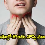Sore Throat: నిమిషాల్లో గొంతు నొప్పి మాయం ! కాలుష్యం వల్ల వచ్చే ఇన్‌ఫెక్షన్లకు బెస్ట్ టిప్స్