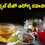 Herbal Tea Benefits: కాఫీ, టీలకు బదులుగా హెర్బల్‌టీలు తాగితే.. ఇన్ని లాభాలా ?
