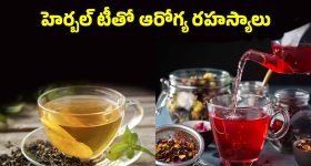 Balakrishna: బాలయ్య అభిమానిగా మారిన స్టార్ హీరోయిన్.. జై బాలయ్య అంటూ!