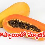 Papaya Benefits: రాత్రి పూట బొప్పాయి తింటే ఏమవుతుంది? ఆరోగ్య నిపుణులు చెబుతున్న ఆసక్తికర విషయాలు !