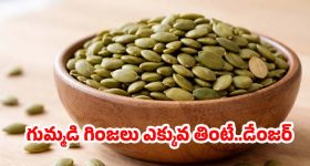  Pumpkin Seeds: హెల్తీ ఫుడ్ అని గుమ్మడి గింజలు ఎక్కువ తింటే.. జరిగేది ఇదే !