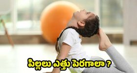 Yoga Asanas: పిల్లలు త్వరగా ఎత్తు పెరగాలా ? అయితే ఇలా యోగాసనాలు చేయించండి