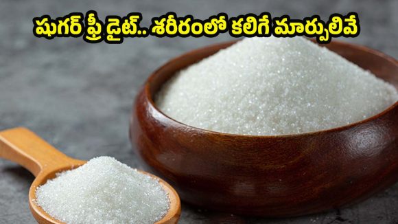14 Days Without Sugar: షుగర్ మానేసిన 14 రోజుల్లోనే బరువు తగ్గడం సాధ్యమా ? నిపుణులు ఏం చెబుతున్నారు ?