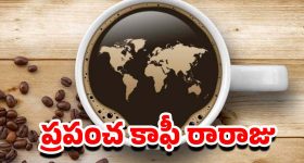 Telangana Municipal Elections:  బీజేపీ చీఫ్‌కి కొత్త టాస్క్.. మున్సిపల్ ఎన్నికలపై ఫోకస్, త్రిముఖ వ్యూహాం