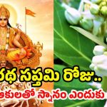 Ratha Saptami 2026: రథ సప్తమి నాడు జిల్లేడు ఆకుల స్నానం ఎందుకు చేస్తారు ?